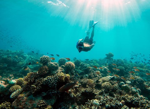 Snorkeling