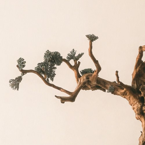 LUX* Guangzhou