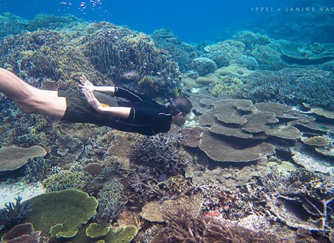 Snorkeling