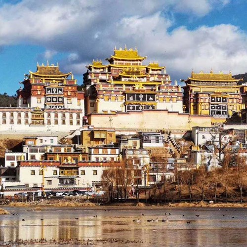 Tea Time with a Tibetan Monk