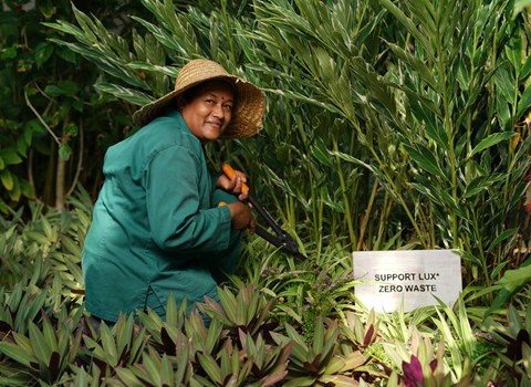 A Zero Food Waste Resort