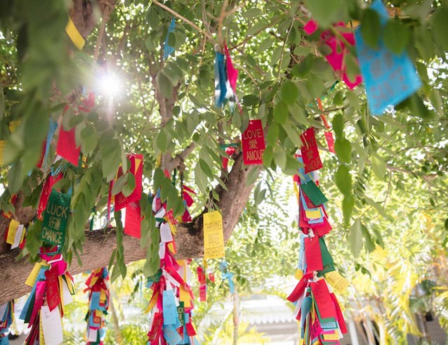 tree of wishes