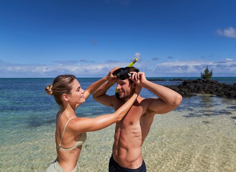 Snorkeling & Sea turtles