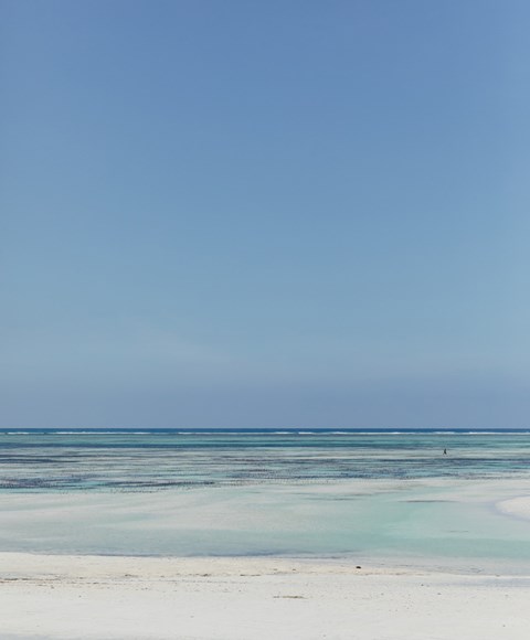 Beach Jogging