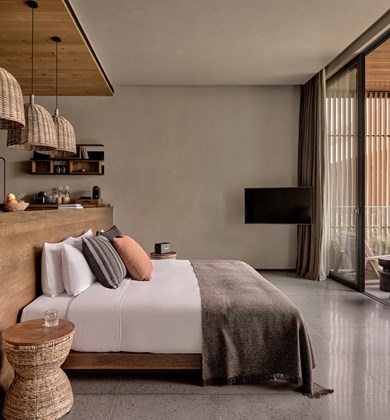 LUX<BDI>*</BDI> SUITE