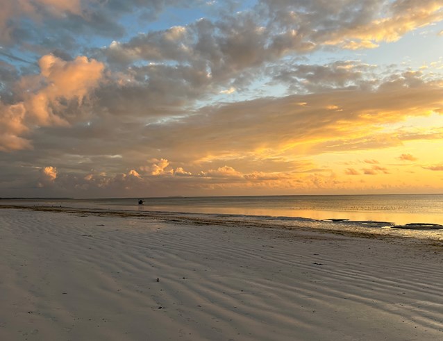 beach dining experiences